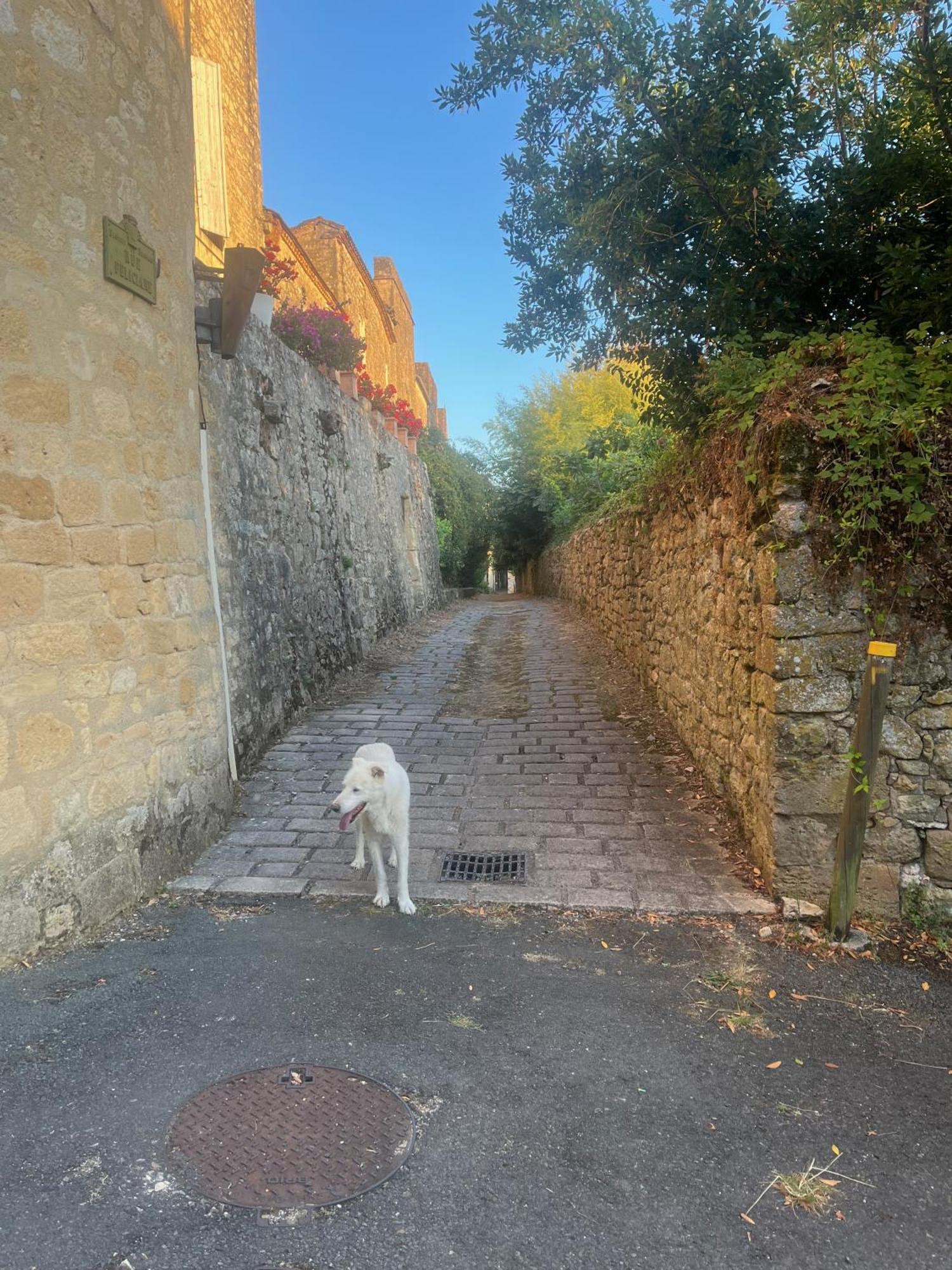 1 Rue Pasquet - 2 Double Rooms In The Main House Beaumont-du-Périgord المظهر الخارجي الصورة