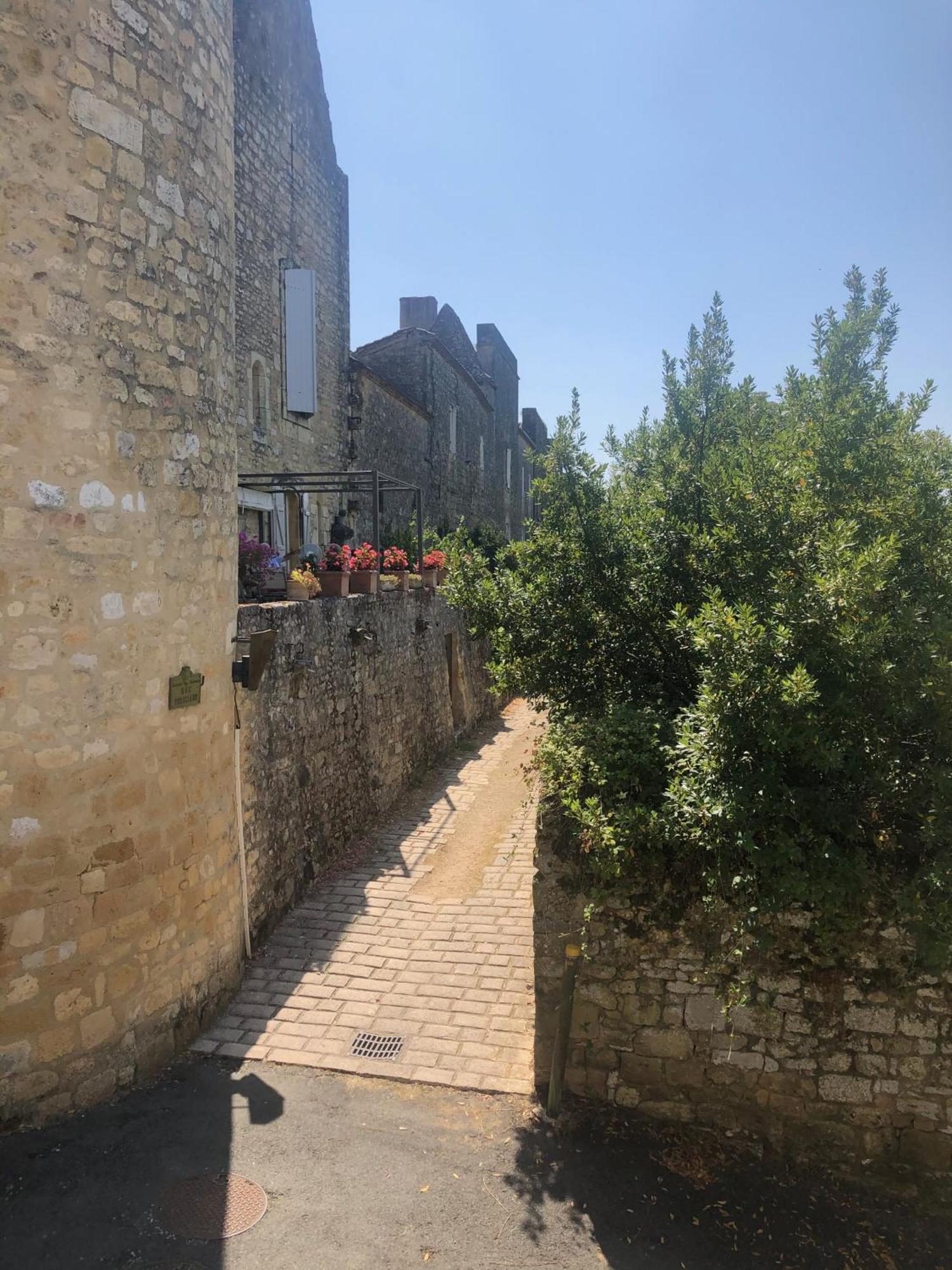 1 Rue Pasquet - 2 Double Rooms In The Main House Beaumont-du-Périgord المظهر الخارجي الصورة